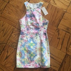 NWT Tobi Mini/BodyCon Dress